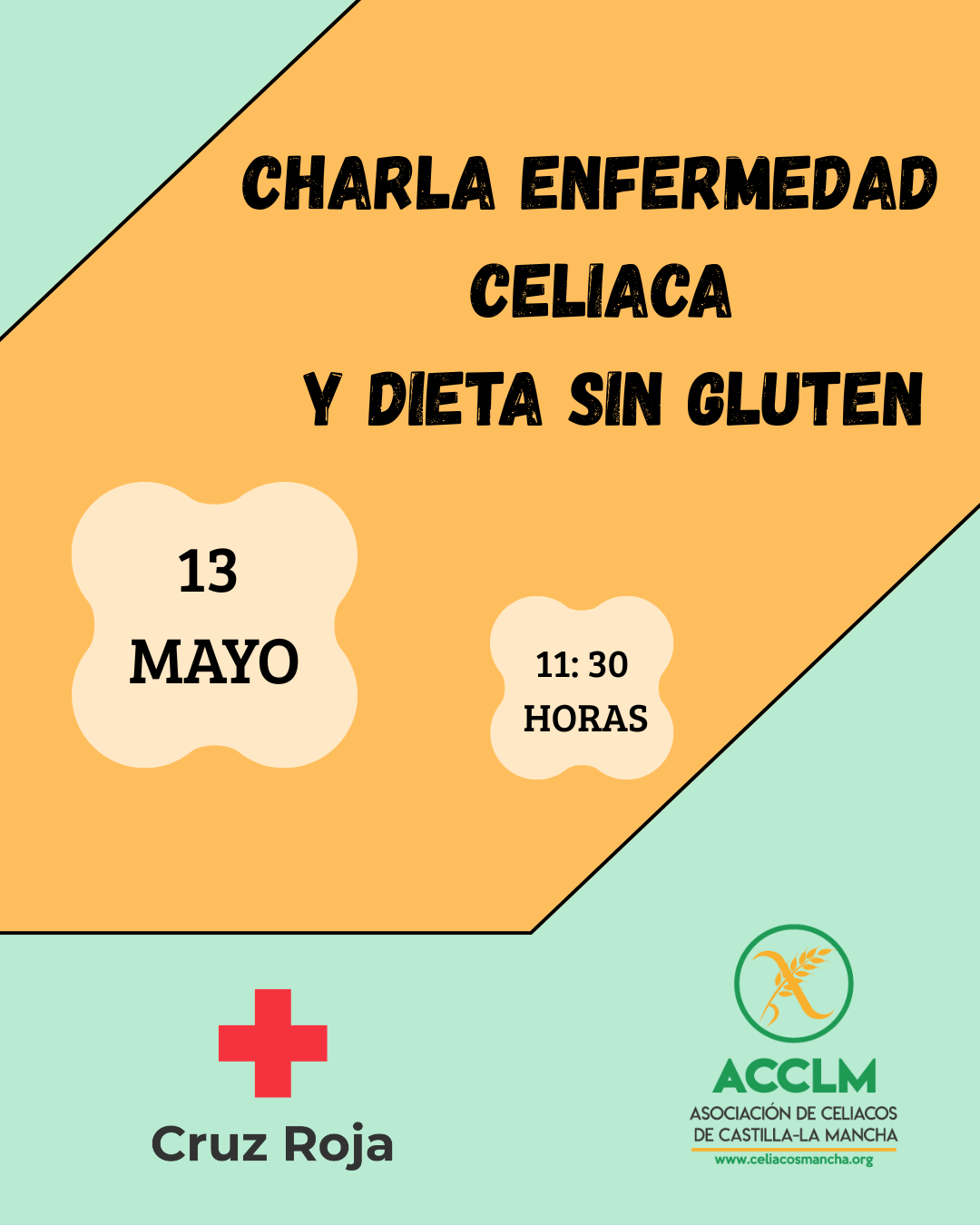 CHARLA EN CRUZ ROJA ALBACETE